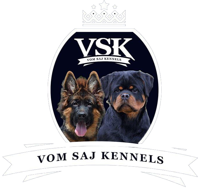 Vom Saj Kennels